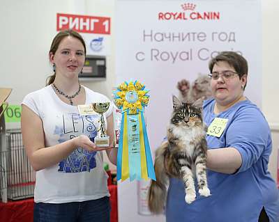   11-12  2015 WCF- 6-33-169A4362 copy.jpg